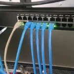 Blue Ethernet cables connected to a network switch in a server rack.