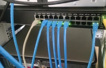 Blue Ethernet cables connected to a network switch in a server rack.