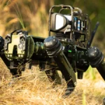 Robot dog standing outdoors representing edge computer vision workloads on OpenShift