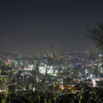 Night skyline of Seoul from Namsan Mountain, illustrating South Korea’s fast-moving AI adoption environment