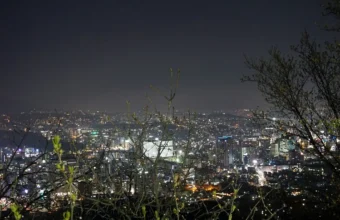 Night skyline of Seoul from Namsan Mountain, illustrating South Korea’s fast-moving AI adoption environment