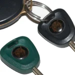 A black car key and a separate green valet key on a keyring, representing full access versus limited, scoped OAuth 2.0 tokens