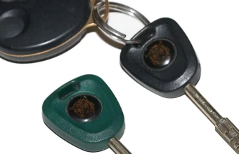 A black car key and a separate green valet key on a keyring, representing full access versus limited, scoped OAuth 2.0 tokens