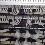 Rack-mounted Ethernet patch panels and managed switches with neatly bundled cables, symbolizing a web server wired to PHP-FPM