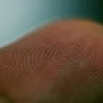 Macro photograph of a human fingertip showing fingerprint ridge patterns