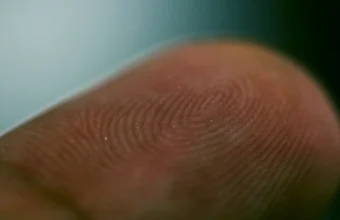 Macro photograph of a human fingertip showing fingerprint ridge patterns