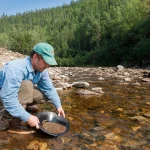 A person kneeling beside a rocky Alaskan creek pans for gold in a black pan, sifting sediment through the water