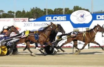 Harness racing pacers competing head-to-head on a dirt track, a visual metaphor for the AI agent harness architecture in the story