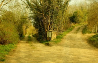 A dirt path splitting into two directions in a wooded area, representing how Git branches diverge from a shared history