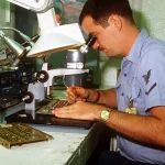 A technician uses a bench magnifier to inspect a printed circuit board