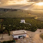 Aerial view of a green cypress hedge maze with winding pathways, a visual metaphor for a directory traversal vulnerability