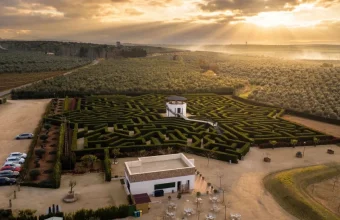 Aerial view of a green cypress hedge maze with winding pathways, a visual metaphor for a directory traversal vulnerability