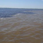 Two visually distinct rivers, one dark and one pale and muddy, flowing side by side without mixing