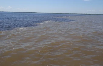 Two visually distinct rivers, one dark and one pale and muddy, flowing side by side without mixing