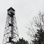 A tall steel fire lookout tower with a small enclosed observation cab rising above a bare autumn forest canopy under an overcast sky
