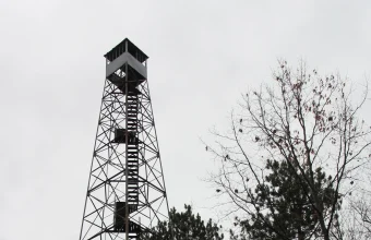 A tall steel fire lookout tower with a small enclosed observation cab rising above a bare autumn forest canopy under an overcast sky