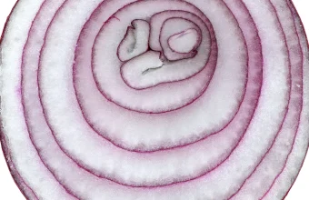 Cross-section of a red onion showing its concentric layers wrapping a core, a visual metaphor for stacked Python decorators wrapping a function