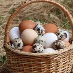 A woven basket filled with a mix of brown, tan, white, and speckled quail eggs sitting in straw