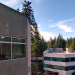 A Microsoft campus building in Redmond, Washington, showing its glass-walled exterior surrounded by evergreen trees