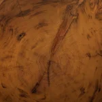 Concentric growth rings on a cross-section of a giant sequoia trunk, each ring a year that can only be added, never removed