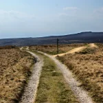 A gravel track on open moorland splits into several branches beside a wooden signpost