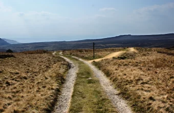 A gravel track on open moorland splits into several branches beside a wooden signpost