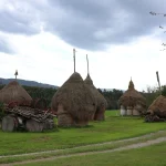 Several conical thatched haystacks in a green field beside a gravel track under a cloudy sky