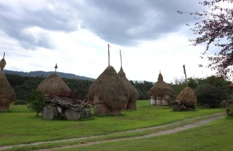 Several conical thatched haystacks in a green field beside a gravel track under a cloudy sky