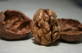 A walnut kernel standing upright between the two halves of its cracked shell, a visual pun on the Linux kernel and its shell
