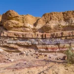 Colorful horizontal layers of sedimentary rock exposed in a cliff face at Makhtesh Ramon in Israel, with two desert shrubs in the foreground