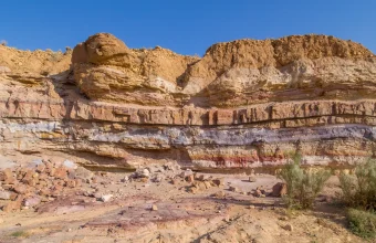 Colorful horizontal layers of sedimentary rock exposed in a cliff face at Makhtesh Ramon in Israel, with two desert shrubs in the foreground