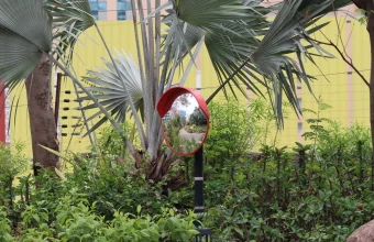 Red convex traffic mirror on a post among palm fronds and shrubs, showing a small curved reflection of a garden path