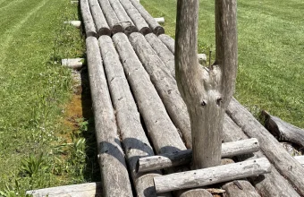A raft of long grey wooden logs lying in a green meadow, with a forked post standing in the middle