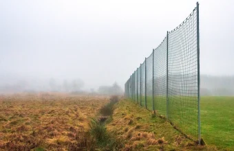 A tall green sports safety net running along a foggy grass field, used as a visual metaphor for safeguards