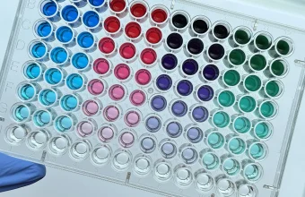 A gloved hand holds a 96-well plate filled with colored serial dilutions of blue, red, purple and green dye, fading to clear wells in the bottom row