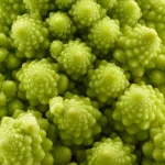 Close-up of a Romanesco broccoli whose green buds are each built from smaller, identical buds