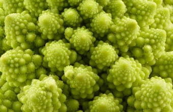 Close-up of a Romanesco broccoli whose green buds are each built from smaller, identical buds